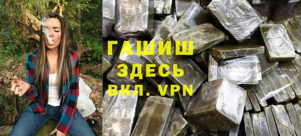 индика Алзамай
