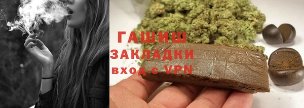 индика Алзамай