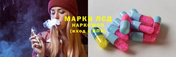 индика Алзамай