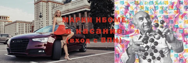 индика Алзамай