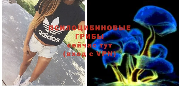 спайс Алексеевка