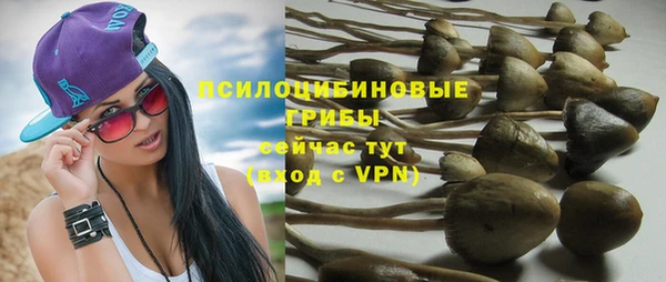 ALPHA PVP Алексин