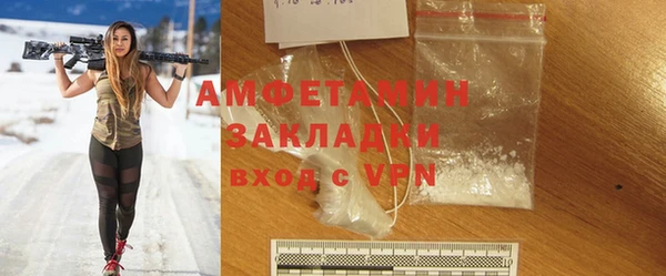 индика Алзамай