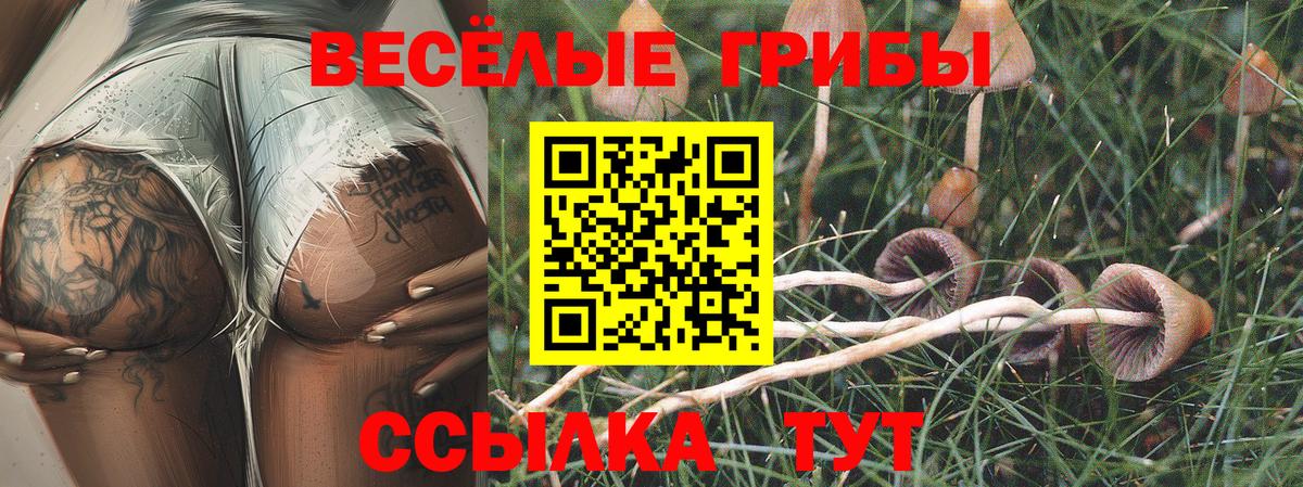 Псилоцибиновые грибы Psilocybe  Вход с VPN  Сарапул 