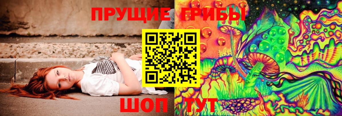 Псилоцибиновые грибы Cubensis Сарапул